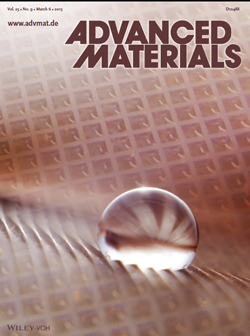 Erica AdvMater Cover 2013