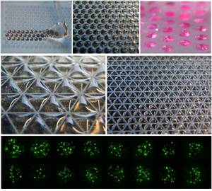 RTEmagicC DropletMicroarray